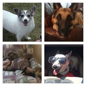 Meet your Posher, Carla